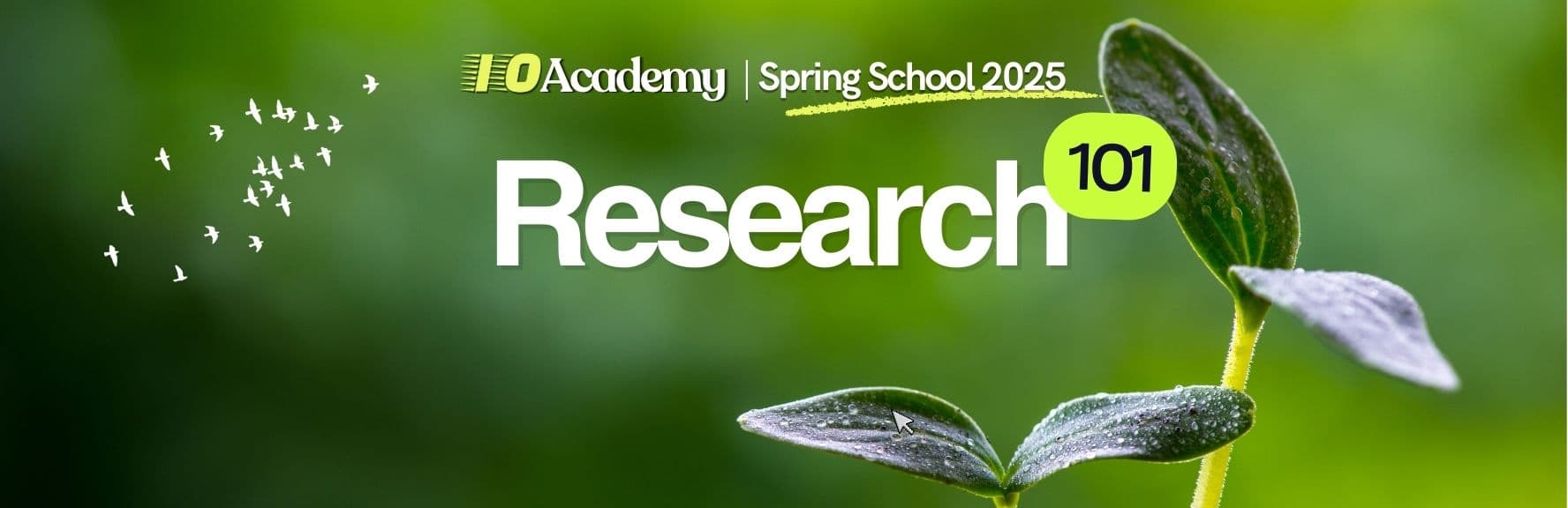 IO Research Spring School 2025